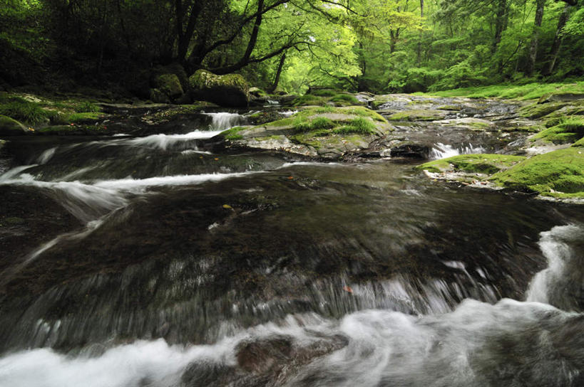 无人,横图,室外,白天,正面,旅游,度假,草地,草坪,河流,石头,美景,瀑布,树林,水,植物,日本,亚洲,阴影,飞溅,朦胧,模糊,溅,光线,石子,液体,影子,河水,景观,水滴,水流,娱乐,水珠,草,树,树木,绿色,小溪,自然,溪水,享受,休闲,景色,放松,生长,成长,喷洒,自然风光,东亚,日本国,九州本岛,九州,九州岛,九州地方,熊本,熊本县,菊池溪谷,跌水,石块,岩石,彩图