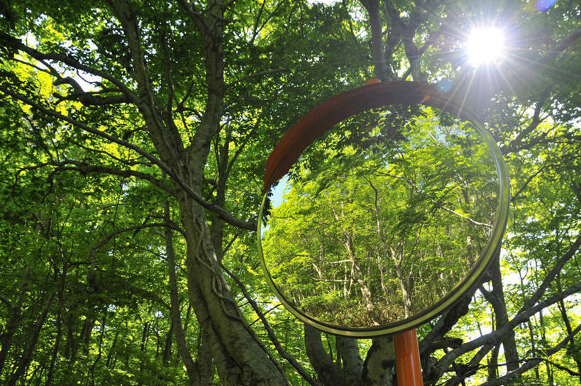 无人,横图,室外,白天,仰视,旅游,度假,仪器,美景,植物,叶子,大分县,日本,亚洲,一把,许多,阴影,检查,反射,分析,光线,科学,放大镜,影子,景观,绿叶,娱乐,树,树木,绿色,阳光,自然,观察,享受,休闲,嫩叶,景色,放松,清晰,探索,生长,放大,成长,观看,仔细,透镜,凸透镜,聚焦,关注,自然风光,东亚,山毛榉,日本国,九州本岛,九州,九州岛,九州地方,光学,清楚,大分,麻栎金刚,山毛榉树,叶,叶片,彩图,低角度拍摄