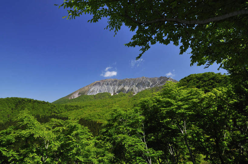 无人,横图,室外,白天,仰视,旅游,度假,美景,山,山脉,树林,植物,日本,亚洲,阴影,光线,影子,景观,山峰,云,云朵,山峦,云彩,娱乐,树,树木,蓝色,绿色,白云,蓝天,天空,自然,群山,天,享受,休闲,景色,放松,生长,成长,自然风光,东亚,本州,本州岛,日本国,中国地方,鸟取,鸟取县,彩图,低角度拍摄