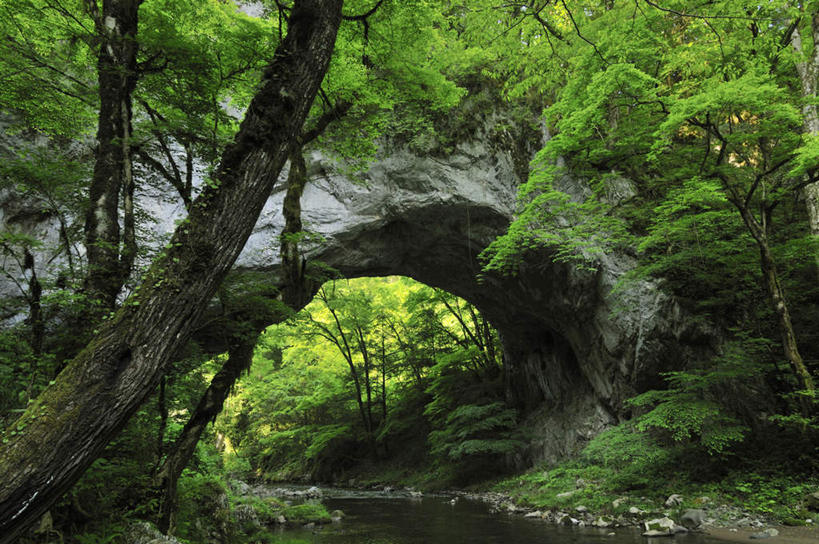 无人,横图,室外,白天,正面,旅游,度假,河流,石头,美景,水,植物,广岛县,日本,亚洲,阴影,光线,石子,影子,河水,景观,水流,桥,娱乐,石桥,拱桥,栈桥,树,树木,绿色,小溪,阳光,自然,溪水,享受,休闲,景色,放松,流动,拱形,生长,成长,人行桥,石拱桥,自然风光,流淌,东亚,本州,本州岛,日本国,広岛,中国地方,帝释峡,石块,彩图