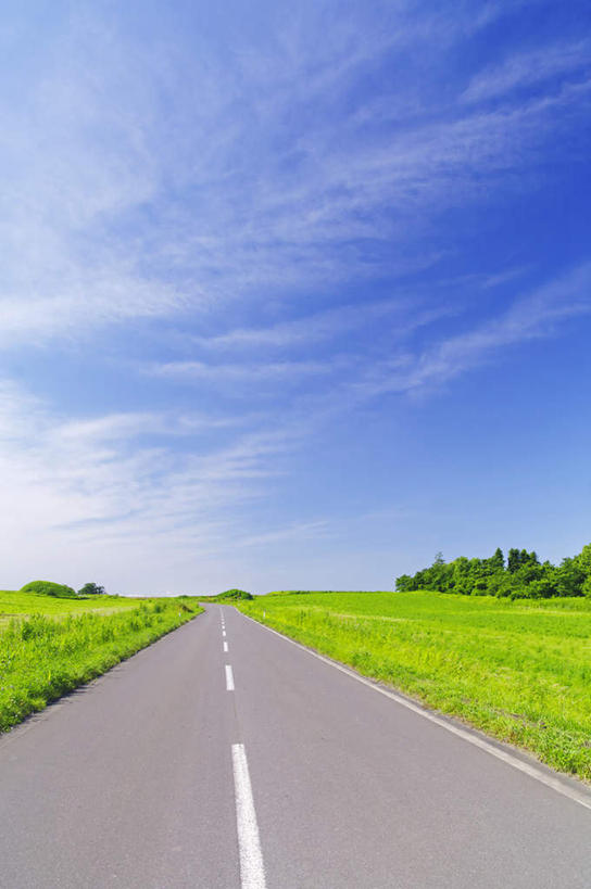 无人,农田,竖图,室外,白天,正面,旅游,度假,庄稼,农作物,草地,草坪,美景,植物,道路,路,公路,北海道,日本,亚洲,阴影,光线,影子,景观,云,云朵,分界线,停车线,交通,云彩,娱乐,草,树,树木,蓝色,绿色,白云,蓝天,天空,阳光,自然,天,享受,休闲,景色,放松,生长,晴朗,成长,车行道,车行道分界线,自然风光,标线,东亚,车行线,日本国,北海道地方,北海道岛,晴空,马路,彩图,耕地,庄稼田