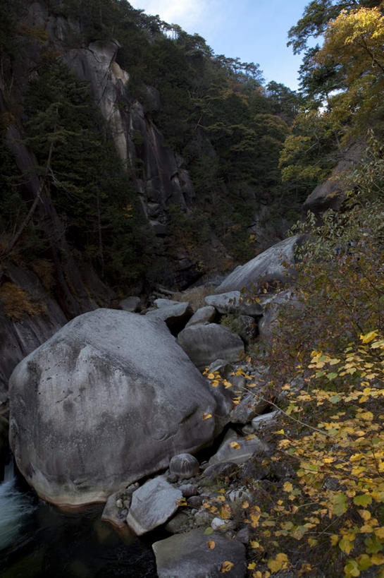 无人,竖图,室外,白天,仰视,旅游,度假,河流,石头,美景,秋季,水,植物,叶子,日本,亚洲,许多,波纹,石子,河水,景观,水流,云,云朵,枯叶,落叶,涟漪,云彩,娱乐,树,树木,黄色,蓝色,绿色,白云,蓝天,水纹,天空,小溪,自然,波浪,天,溪水,享受,休闲,景色,放松,流动,生长,晴朗,成长,自然风光,流淌,东亚,本州,本州岛,日本国,中部地方,山梨,山梨县,水晕,叶,叶片,石块,岩石,晴空,秋,秋天,彩图,低角度拍摄