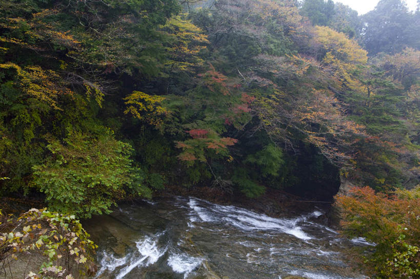 无人,横图,室外,白天,正面,旅游,度假,河流,美景,瀑布,秋季,水,植物,日本,亚洲,飞溅,湍急,溅,液体,河水,景观,水滴,水流,千叶县,娱乐,水珠,树,树木,绿色,自然,享受,休闲,景色,放松,流动,生长,成长,喷洒,自然风光,流淌,东亚,本州,关东地方,本州岛,日本国,千叶,跌水,秋,秋天,彩图