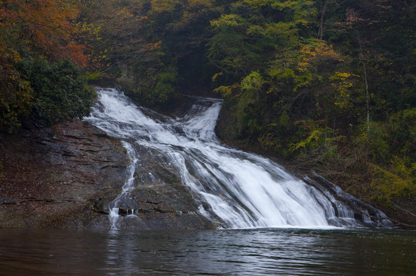 无人,横图,室外,白天,正面,旅游,度假,河流,美景,瀑布,秋季,水,植物,日本,亚洲,飞溅,湍急,溅,液体,河水,景观,水滴,水流,千叶县,娱乐,水珠,树,树木,绿色,自然,享受,休闲,景色,放松,流动,生长,成长,喷洒,自然风光,流淌,东亚,本州,关东地方,本州岛,日本国,千叶,跌水,秋,秋天,彩图