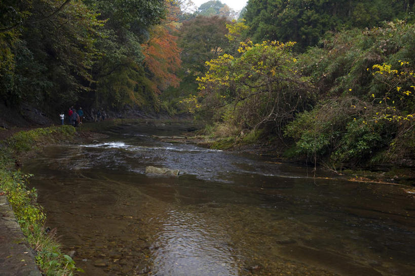 无人,横图,室外,白天,正面,旅游,度假,河流,美景,秋季,水,植物,日本,亚洲,湍急,河水,景观,水流,千叶县,娱乐,树,树木,绿色,自然,享受,休闲,景色,放松,流动,生长,成长,自然风光,流淌,东亚,本州,关东地方,本州岛,日本国,千叶,秋,秋天,彩图