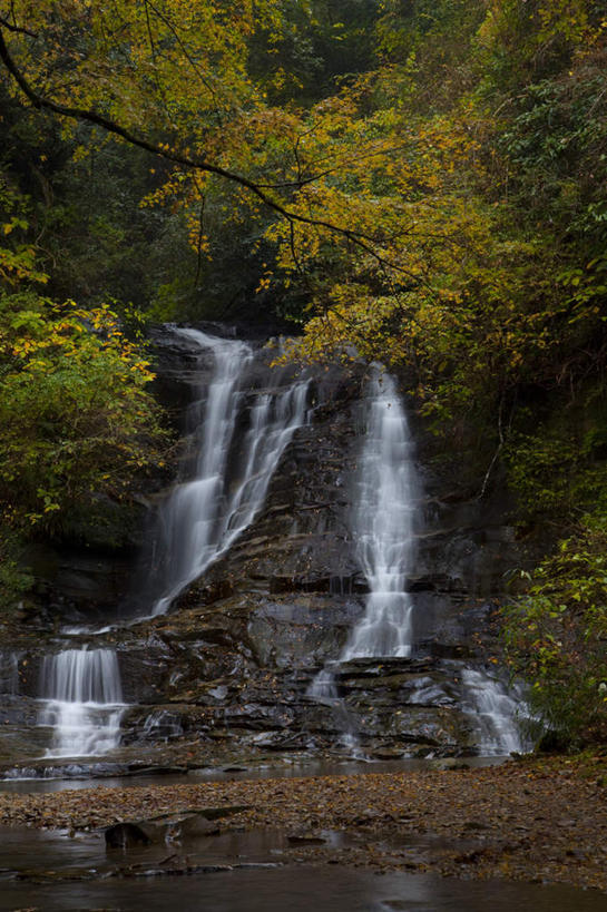 无人,竖图,室外,白天,正面,长时间曝光,旅游,度假,河流,美景,瀑布,秋季,水,植物,日本,亚洲,飞溅,朦胧,模糊,湍急,溅,液体,河水,景观,水滴,水流,千叶县,娱乐,水珠,树,树木,绿色,自然,享受,休闲,景色,放松,流动,生长,成长,喷洒,自然风光,曝光,流淌,东亚,本州,关东地方,本州岛,日本国,千叶,暴光,跌水,秋,秋天,彩图