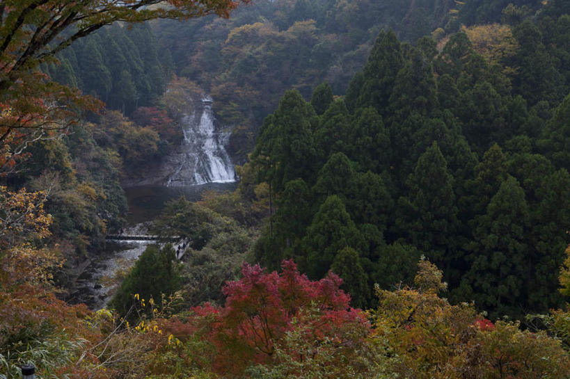 无人,横图,俯视,室外,白天,旅游,度假,美景,瀑布,秋季,水,植物,叶子,日本,亚洲,许多,飞溅,湍急,溅,液体,景观,水滴,枯叶,落叶,千叶县,娱乐,水珠,树,树木,红色,绿色,自然,享受,休闲,景色,放松,流动,生长,成长,喷洒,自然风光,流淌,东亚,本州,关东地方,本州岛,日本国,千叶,叶,叶片,跌水,秋,秋天,彩图,高角度拍摄