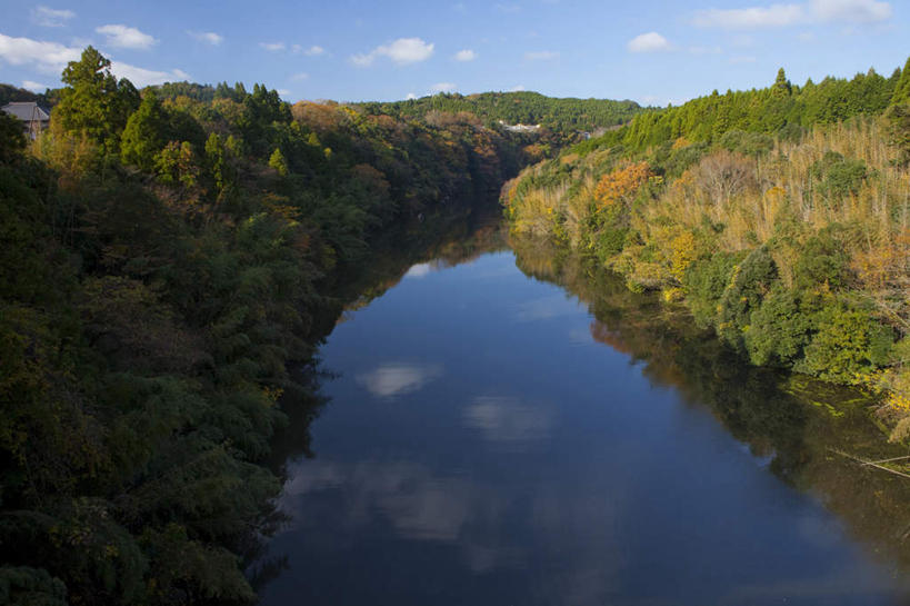 无人,横图,俯视,室外,白天,旅游,度假,湖,湖泊,美景,秋季,树林,水,植物,叶子,日本,亚洲,许多,阴影,平静,光线,影子,湖面,景观,水流,水面,云,云朵,枯叶,落叶,千叶县,云彩,娱乐,树,树木,黄色,蓝色,绿色,白云,倒影,蓝天,天空,阳光,自然,湖水,天,享受,休闲,景色,安静,放松,生长,晴朗,成长,宁静,静谧,自然风光,东亚,本州,关东地方,本州岛,日本国,镇静,千叶,冷静,沉静,安祥,僻静,清静,太平,叶,叶片,晴空,秋,秋天,彩图,高角度拍摄