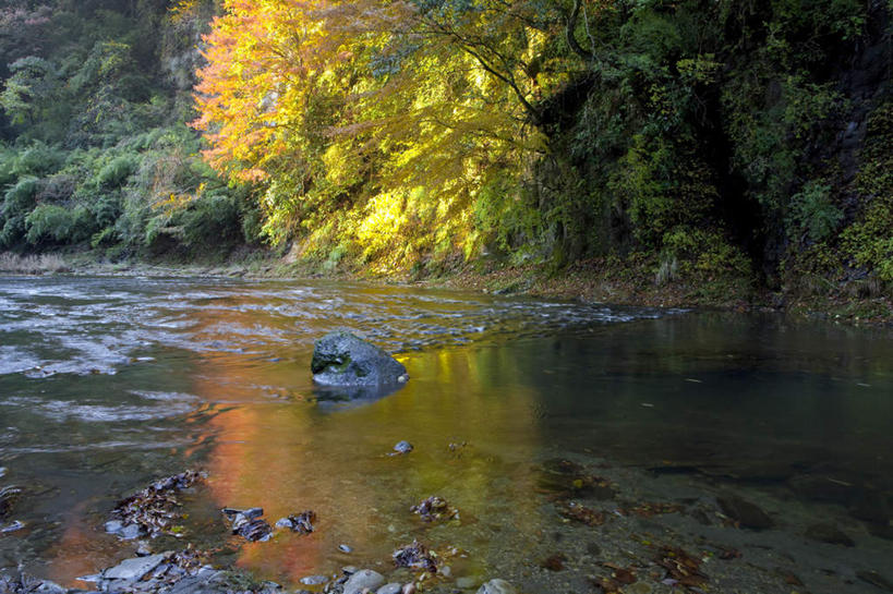 无人,横图,俯视,室外,白天,旅游,度假,河流,石头,美景,秋季,树林,水,植物,叶子,日本,亚洲,许多,阴影,光线,石子,影子,河水,景观,水流,枯叶,落叶,千叶县,娱乐,树,树木,黄色,绿色,阳光,自然,享受,休闲,景色,放松,流动,生长,成长,自然风光,流淌,东亚,本州,关东地方,本州岛,日本国,千叶,叶,叶片,石块,秋,秋天,彩图,高角度拍摄
