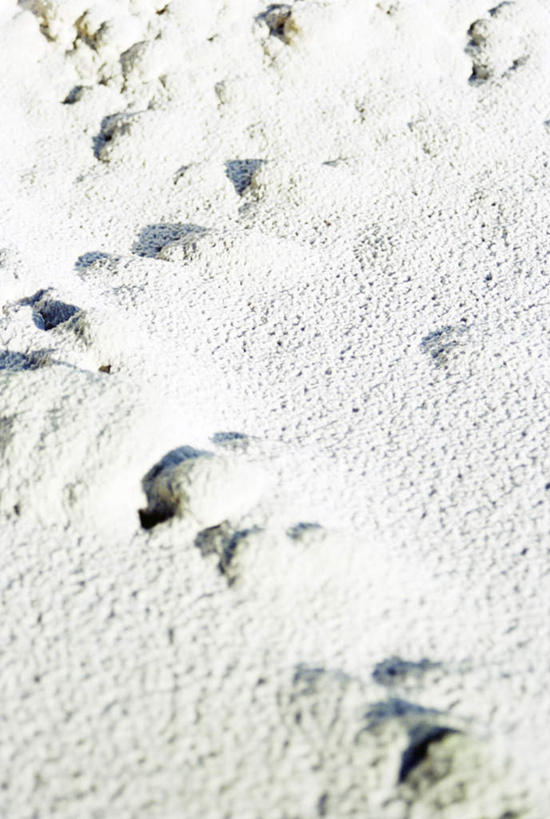 无人,竖图,俯视,室外,特写,白天,旅游,度假,美景,沙滩,爱知县,日本,亚洲,许多,脚印,阴影,光线,沙子,影子,海岸,景观,沙地,娱乐,沙坑,阳光,自然,享受,休闲,景色,放松,足迹,自然风光,东亚,本州,本州岛,日本国,中部地方,爱知,海滩,彩图,高角度拍摄