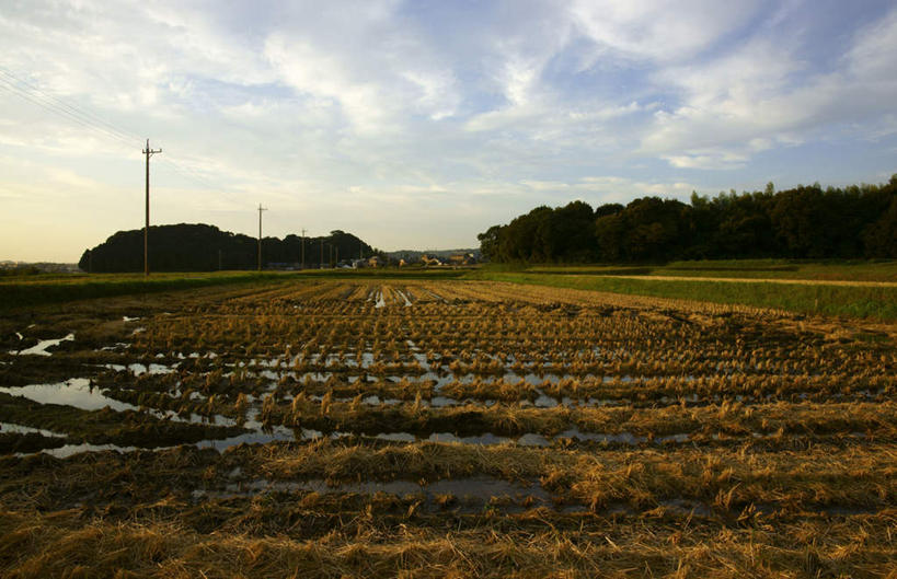 无人,家,农田,横图,室外,白天,正面,旅游,度假,农业,庄稼,农作物,美景,日落,树林,植物,爱知县,日本,亚洲,电力,电线,电线杆,线,房屋,屋子,稻田,景观,晚霞,霞光,云,云朵,电能,线路,云彩,娱乐,楼房,住宅,树,树木,蓝色,绿色,白云,蓝天,天空,自然,黄昏,天,享受,休闲,景色,彩霞,放松,生长,晴朗,成长,电,电源,自然风光,能量,东亚,本州,本州岛,日本国,中部地方,爱知,晴空,夕阳,彩图,耕地,庄稼田,房子