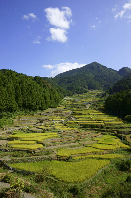 无人,栏杆,竖图,室外,白天,正面,旅游,度假,梯田,石头,美景,山,山脉,树林,植物,爱知县,日本,亚洲,阴影,光线,石子,影子,栅栏,景观,篱笆,山顶,山峰,云,云朵,围栏,山峦,云彩,娱乐,护栏,树,树木,蓝色,绿色,白云,蓝天,天空,阳光,自然,群山,天,享受,休闲,景色,放松,生长,晴朗,成长,自然风光,东亚,沉积岩,本州,本州岛,日本国,中部地方,爱知,颠峰,极峰,水成岩,石块,岩石,晴空,彩图
