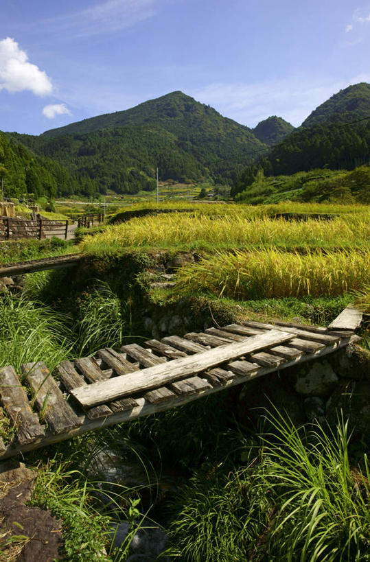 无人,栏杆,竖图,室外,白天,正面,旅游,度假,河流,石头,美景,山,山脉,树林,水,植物,爱知县,日本,亚洲,一根,阴影,电力,光线,电线,电线杆,木板,石子,线,影子,栅栏,河水,景观,篱笆,山顶,山峰,水流,云,云朵,围栏,桥,电能,木桥,山峦,线路,云彩,娱乐,护栏,栈桥,树,树木,蓝色,绿色,白云,蓝天,天空,小溪,阳光,自然,群山,天,溪水,享受,休闲,景色,放松,生长,晴朗,成长,人行桥,木板桥,电,电源,自然风光,能量,东亚,沉积岩,本州,本州岛,日本国,中部地方,爱知,颠峰,极峰,水成岩,石块,岩石,晴空,彩图
