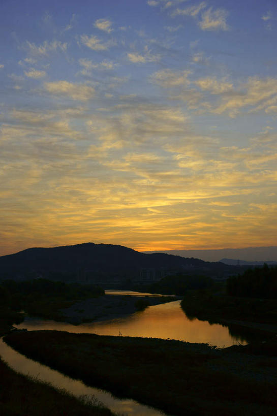无人,竖图,室外,白天,正面,旅游,度假,湖,湖泊,美景,日落,树林,水,植物,爱知县,日本,亚洲,湖面,景观,水流,水面,晚霞,霞光,娱乐,树,树木,绿色,自然,黄昏,湖水,享受,休闲,景色,彩霞,放松,生长,成长,自然风光,东亚,本州,本州岛,日本国,中部地方,爱知,夕阳,彩图