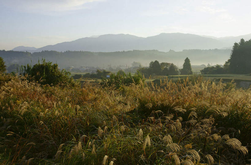 无人,家,农田,横图,室外,白天,正面,旅游,度假,庄稼,农作物,草地,草原,草坪,湖,湖泊,石头,美景,山,山脉,树林,水,植物,日本,亚洲,阴影,光线,石子,影子,房屋,屋子,湖面,景观,山顶,山峰,水流,水面,云,云朵,芒草,山峦,云彩,娱乐,楼房,住宅,草,树,树木,蓝色,绿色,白云,蓝天,天空,阳光,自然,湖水,群山,天,享受,休闲,景色,放松,生长,晴朗,成长,自然风光,东亚,沉积岩,本州,本州岛,日本国,中部地方,岐阜,岐阜县,颠峰,极峰,水成岩,石块,岩石,晴空,彩图,耕地,庄稼田,房子
