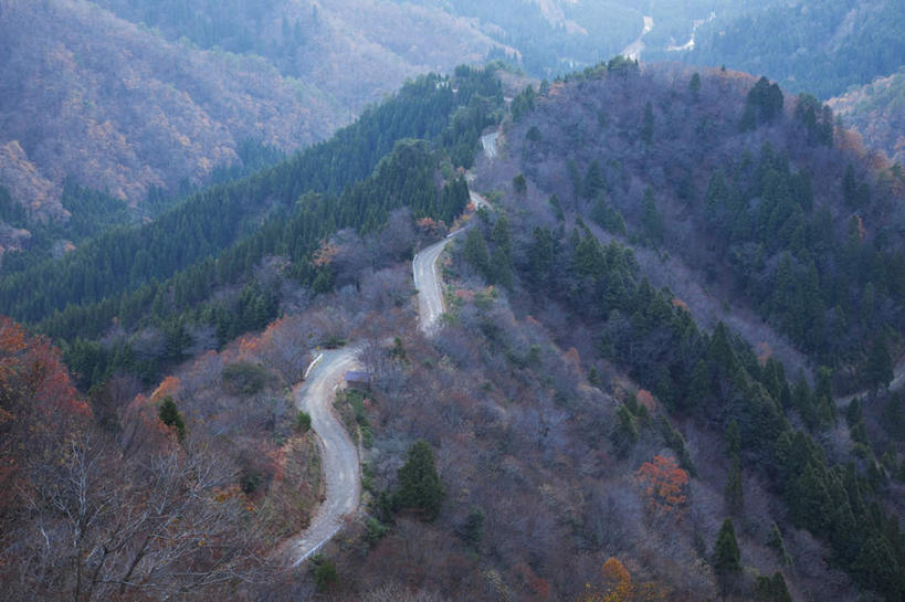 无人,横图,俯视,室外,白天,旅游,度假,石头,美景,秋季,山,山脉,树林,植物,道路,路,叶子,日本,亚洲,一排,整齐,石子,景观,山顶,山峰,小路,枯叶,落叶,交通,山峦,娱乐,树,树木,排列,黄色,绿色,自然,群山,享受,休闲,景色,放松,乡间小路,生长,成长,队列,自然风光,东亚,沉积岩,本州,本州岛,日本国,近畿地方,近畿,滋贺,滋贺县,颠峰,极峰,水成岩,叶,叶片,石块,岩石,秋,秋天,彩图,高角度拍摄