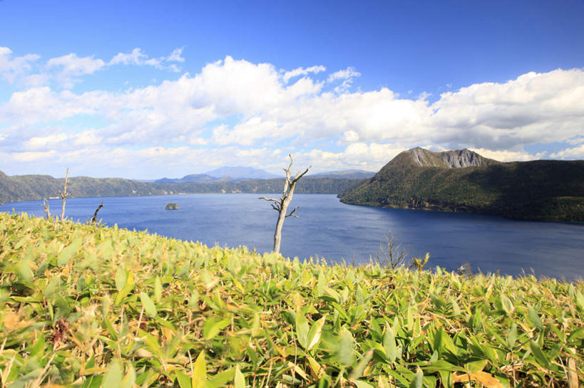 无人,横图,室外,白天,正面,旅游,度假,草地,草坪,岛屿,湖,湖泊,石头,美景,山,山脉,树林,水,植物,北海道,日本,亚洲,两棵,阴影,光线,石子,影子,湖面,景观,山顶,山峰,水流,水面,云,云朵,枯树,山峦,云彩,娱乐,草,树,树木,一个,蓝色,绿色,白云,蓝天,天空,阳光,自然,湖水,群山,天,享受,休闲,景色,放松,生长,晴朗,单个,成长,自然风光,东亚,沉积岩,日本国,三座,北海道地方,北海道岛,摩周湖,颠峰,极峰,水成岩,列岛,群岛,石块,岩石,诸岛,晴空,彩图