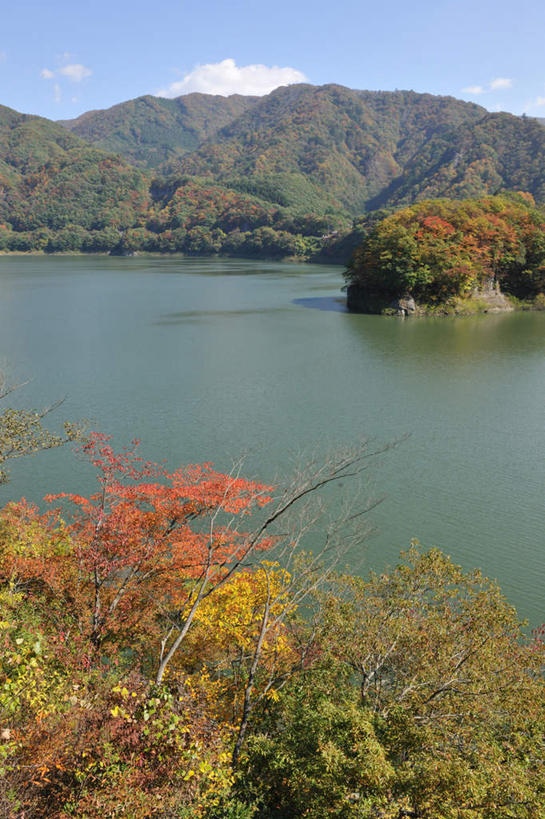 无人,竖图,俯视,室外,白天,旅游,度假,草地,草坪,湖,湖泊,石头,美景,秋季,山,山脉,树林,水,植物,日本,亚洲,许多,阴影,光线,石子,影子,湖面,景观,山顶,山峰,水流,水面,云,云朵,枯树,山峦,云彩,娱乐,草,树,树木,黄色,红色,蓝色,绿色,白云,蓝天,天空,阳光,自然,湖水,群山,天,享受,休闲,景色,放松,生长,晴朗,成长,自然风光,东亚,沉积岩,本州,关东地方,本州岛,日本国,栃木,栃木县,三座,摩周湖,颠峰,极峰,水成岩,石块,岩石,晴空,秋,秋天,彩图,高角度拍摄