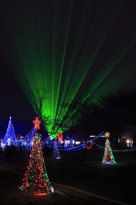 无人,竖图,彩色,室外,夜晚,正面,旅游,度假,美景,树林,植物,霓虹灯,日本,亚洲,阴影,光线,影子,灯饰,景观,星星,灯光,圣诞树,七彩,光芒,娱乐,光源,霓虹,灯,树,树木,绿色,天空,自然,天,享受,休闲,闪耀,星形,射灯,景色,放松,生长,成长,闪烁,照明设备,自然风光,五角形,东亚,本州,关东地方,本州岛,日本国,群马,群马县,氖灯,榛名山,五角星,彩图