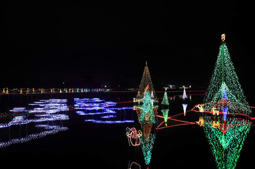 无人,横图,彩色,室外,夜晚,正面,旅游,度假,美景,树林,植物,霓虹灯,日本,亚洲,阴影,光线,影子,灯饰,景观,灯光,圣诞树,七彩,娱乐,光源,霓虹,灯,树,树木,绿色,天空,自然,天,享受,休闲,闪耀,景色,放松,生长,成长,闪烁,照明设备,自然风光,照耀,东亚,本州,关东地方,本州岛,日本国,群马,群马县,氖灯,榛名山,五角星,彩图