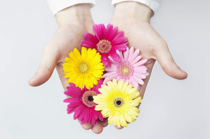 东方人,手,一个人,站,横图,俯视,室内,特写,白天,白色背景,亚洲,双手,仅一个男性,仅一个人,五朵,服装,盛开,非洲菊,粉红,摊开,拿,花蕾,拿着,休闲装,黄种人,花,花瓣,花朵,鲜花,仅一个年轻男性,衣服,粉色,黄色,红色,花苞,花蕊,站着,休闲,手部,休闲服,菊花,摄影,服饰,影棚,扶郎花,灯盏花,千日菊,男人,男性,年轻男性,亚洲人,站立,半身,彩图,高角度拍摄,影棚拍摄,拍摄