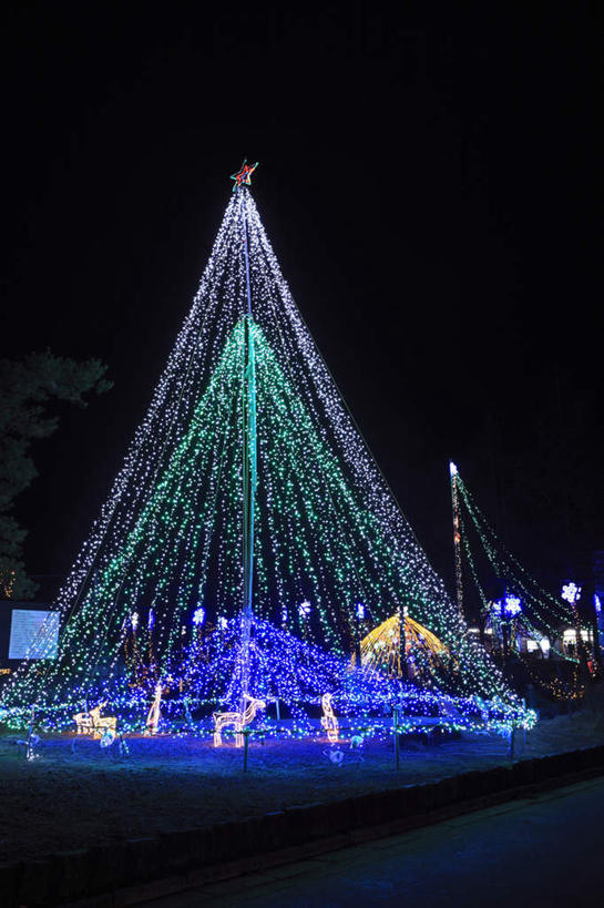 无人,高楼大厦,竖图,彩色,室外,夜晚,正面,度假,美景,城市风光,标志建筑,城市,大厦,道路,地标,建筑,路,摩天大楼,霓虹灯,公路,日本,圣诞节,亚洲,许多,阴影,节日,庆祝,光线,影子,景观,灯光,圣诞树,七彩,交通,光芒,文化,娱乐,光源,建设,霓虹,灯,倒影,庆典,享受,休闲,闪耀,景色,放松,纪念,闪烁,照明设备,装饰灯,东亚,本州,关东地方,本州岛,日本国,群马,群马县,氖灯,榛名山,马路,彩图,大楼,高层建筑,高楼,摩天楼