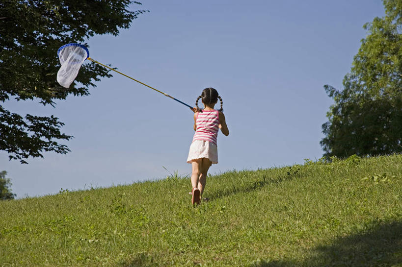 东方人,儿童,一个人,跑,横图,室外,白天,纯洁,草地,草坪,树林,植物,亚洲,仅一个女性,仅一个人,握,服装,拿,拿着,休闲装,黄种人,草,树,树木,小孩,背面,衣服,蓝色,绿色,蓝天,天空,自然,天,仅一个小孩,休闲,休闲服,蝴蝶网,可爱,童年,童趣,握着,服饰,生长,晴朗,成长,童真,烂漫,无邪,万里无云,天真,女孩,女人,女性,亚洲人,孩子,晴空,晴空万里,跑步,彩图,全身,女生