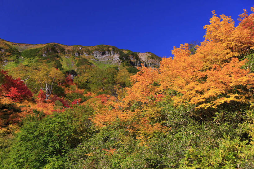 无人,横图,室外,白天,仰视,旅游,度假,美景,山,山脉,树林,植物,叶子,北海道,日本,亚洲,一排,整齐,景观,山峰,绿叶,山峦,娱乐,树,树木,排列,黄色,红色,蓝色,绿色,蓝天,天空,自然,群山,天,享受,休闲,嫩叶,景色,放松,生长,晴朗,成长,队列,自然风光,东亚,万里无云,日本国,北海道地方,北海道岛,道北,叶,叶片,晴空,晴空万里,彩图,低角度拍摄,上川支厅