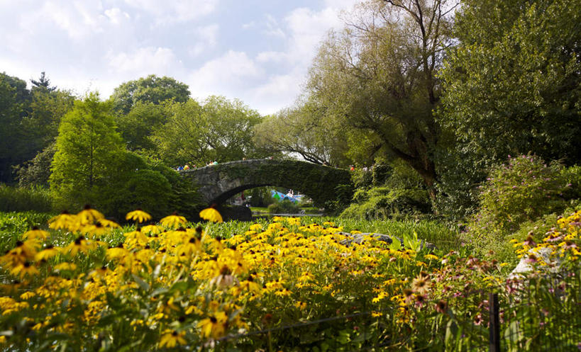 无人,横图,室外,白天,仰视,旅游,度假,快乐,幸福,花海,花圃,美景,森林,树林,植物,城市,叶子,纽约,美国,朦胧,模糊,盛开,木板,池塘,景观,桥,曼哈顿,玛格丽特,木桥,花蕾,娱乐,栈桥,雏菊,花,花瓣,花朵,花卉,鲜花,树,树木,绿色,自然,花丛,花束,花田,花苞,花蕊,享受,休闲,菊花,景色,放松,活力,生长,成长,希望,人行桥,木板桥,北美,北美洲,坚强,自然风光,美洲,和平,离别,中央公园,纽约中央公园,纽约州,帝国之州,帝国州,延命菊,幸福花,春菊,马兰头花,北亚美利加洲,亚美利加洲,暗恋,纯情,单恋,天真,彩图,低角度拍摄,愉快,曼哈顿岛