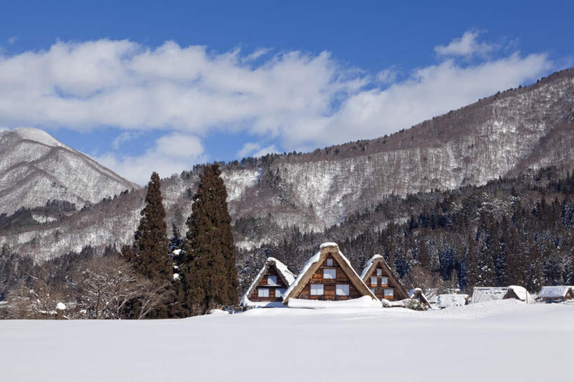 无人,家,横图,室外,白天,正面,旅游,度假,美景,森林,山,山脉,树林,雪,植物,大雪,别墅,建筑,叶子,日本,亚洲,房屋,屋子,积雪,景观,山峰,雪景,云,云朵,冬季,冬天,公寓,建筑群,枯叶,落叶,山峦,云彩,娱乐,建设,洋房,楼房,住宅,树,树木,蓝色,绿色,白云,蓝天,天空,自然,群山,天,享受,休闲,景色,放松,寒冷,生长,晴朗,成长,自然风光,东亚,本州,本州岛,日本国,中部地方,岐阜,岐阜县,严寒,凛冽,叶,叶片,晴空,彩图,房子