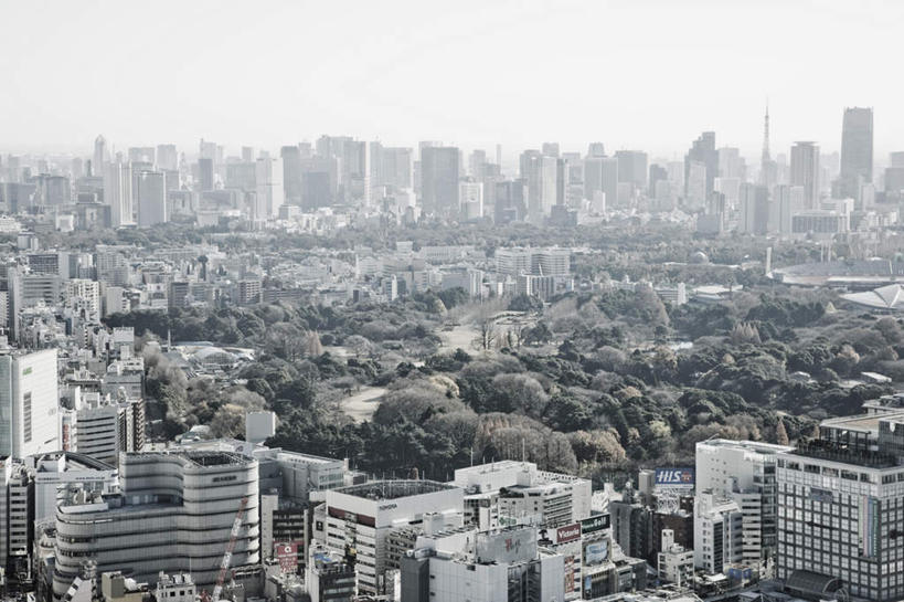 无人,高楼大厦,横图,俯视,航拍,室外,白天,度假,美景,植物,城市风光,城市,大厦,建筑,摩天大楼,东京,日本,亚洲,景观,建筑群,娱乐,建设,树,树木,绿色,自然,享受,休闲,景色,放松,生长,成长,鸟瞰,东亚,本州,关东地方,本州岛,日本国,东京都,彩图,高角度拍摄,大楼,高层建筑,高楼,摩天楼