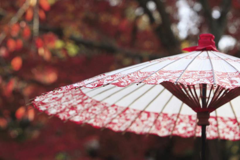 无人,横图,室外,特写,白天,仰视,旅游,度假,幸福,美景,植物,静物,一把,朦胧,模糊,伞,雨伞,纸伞,景观,古典,油纸伞,文化,娱乐,阳伞,树,树木,红色,绿色,自然,享受,休闲,景色,放松,生长,成长,纪念,吉祥,自然风光,古朴,平安,彩图,低角度拍摄