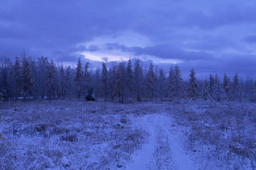 无人,横图,俯视,室外,白天,旅游,度假,美景,森林,树林,雪,植物,大雪,北海道,日本,亚洲,积雪,景观,雪景,冬季,冬天,娱乐,树,树木,蓝色,绿色,蓝天,天空,自然,天,享受,休闲,景色,放松,寒冷,生长,成长,自然风光,东亚,日本国,北海道地方,北海道岛,美瑛町,严寒,美瑛,彩图,高角度拍摄