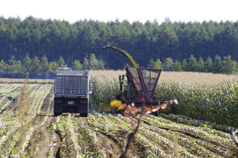 无人,农田,横图,俯视,室外,白天,旅游,度假,农业,庄稼,农作物,美景,森林,树林,植物,卡车,汽车,北海道,日本,亚洲,一辆,阴影,光线,影子,稻田,景观,娱乐,车,树,树木,绿色,阳光,自然,交通工具,享受,休闲,景色,放松,生长,成长,自然风光,载具,东亚,日本国,北海道地方,北海道岛,彩图,高角度拍摄,耕地,庄稼田