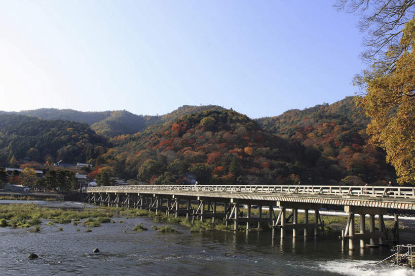 无人,栏杆,横图,室外,白天,正面,旅游,度假,河流,美景,秋季,森林,树林,水,植物,枫树,京都,日本,亚洲,阴影,光线,木板,影子,河水,景观,水流,云,云朵,围栏,桥,木桥,云彩,娱乐,护栏,栈桥,树,树木,蓝色,白云,蓝天,天空,阳光,自然,天,享受,休闲,景色,放松,京都府,生长,晴朗,成长,人行桥,木板桥,自然风光,东亚,本州,本州岛,日本国,近畿地方,近畿,槭树,鸡爪槭,晴空,秋,秋天,鸡爪枫,彩图