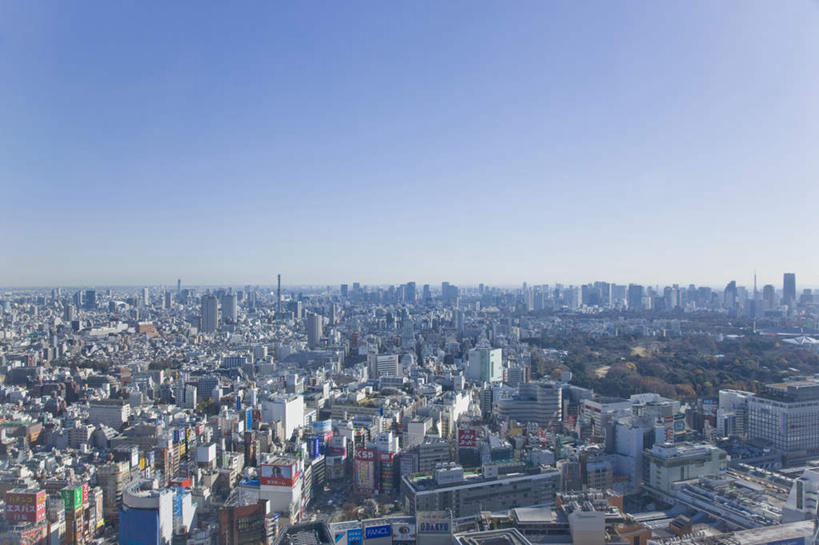 无人,高楼大厦,横图,俯视,航拍,室外,白天,度假,美景,城市风光,城市,大厦,建筑,摩天大楼,东京,日本,阴影,光线,影子,景观,建筑群,新宿,娱乐,建设,蓝色,蓝天,天空,阳光,天,享受,休闲,景色,放松,晴朗,鸟瞰,东亚,本州,万里无云,关东地方,本州岛,日本国,东京都,新宿区,县厅,东京市,晴空,晴空万里,彩图,高角度拍摄,大楼,高层建筑,高楼,摩天楼