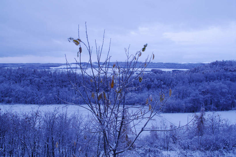 无人,横图,室外,白天,正面,旅游,度假,美景,森林,树林,雪,植物,大雪,北海道,日本,亚洲,积雪,景观,雪景,冬季,冬天,娱乐,树,树木,蓝色,绿色,蓝天,天空,自然,天,享受,休闲,景色,放松,寒冷,生长,成长,自然风光,东亚,日本国,北海道地方,北海道岛,严寒,彩图