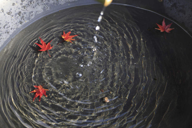 无人,横图,俯视,室外,白天,旅游,度假,美景,水,叶子,阴影,波纹,飞溅,溅,光线,螺旋,液体,影子,景观,水滴,枫叶,枯叶,落叶,涟漪,娱乐,水珠,黄色,红色,倒影,水纹,阳光,自然,波浪,享受,休闲,景色,放松,流动,枫树叶,倒映,喷洒,自然风光,螺纹,水晕,反照,叶,叶片,彩图,高角度拍摄
