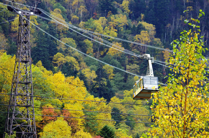 无人,横图,室外,白天,仰视,旅游,度假,美景,森林,树林,植物,北海道,日本,亚洲,电力,电缆,电线,景观,电能,娱乐,缆车,树,树木,绿色,自然,交通工具,享受,休闲,景色,放松,生长,成长,电源,自然风光,载具,能量,东亚,日本国,北海道地方,北海道岛,彩图,低角度拍摄