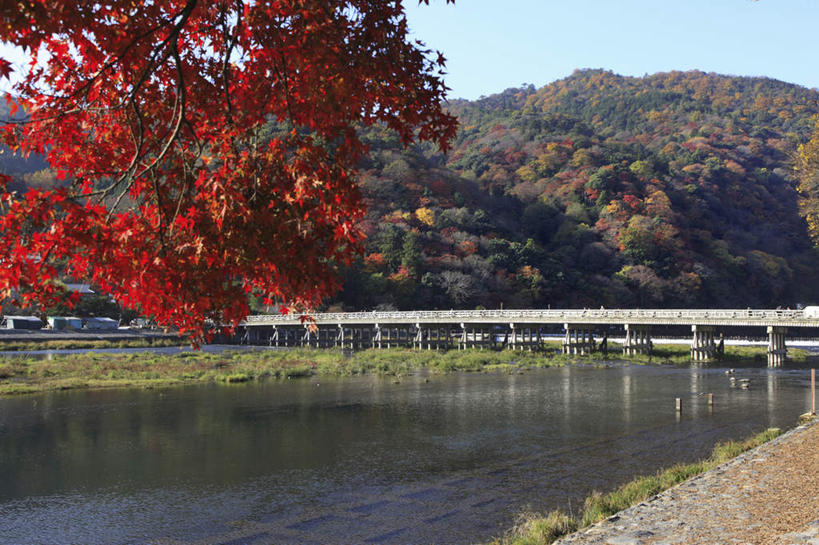 无人,栏杆,横图,室外,白天,正面,旅游,度假,河流,美景,秋季,森林,树林,水,植物,枫树,京都,日本,亚洲,阴影,光线,木板,影子,河水,景观,水流,云,云朵,围栏,桥,木桥,云彩,娱乐,护栏,栈桥,树,树木,蓝色,白云,蓝天,天空,阳光,自然,天,享受,休闲,景色,放松,京都府,生长,晴朗,成长,人行桥,木板桥,自然风光,东亚,本州,本州岛,日本国,近畿地方,近畿,槭树,鸡爪槭,晴空,秋,秋天,鸡爪枫,彩图
