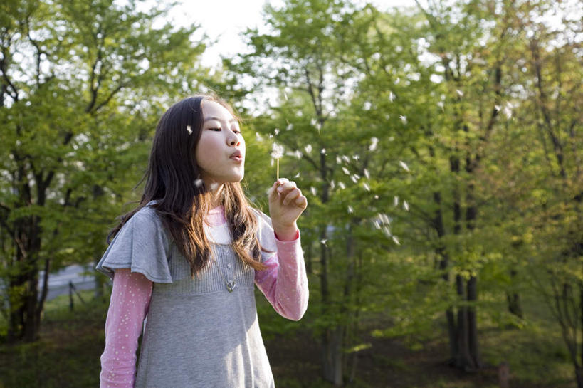 东方人,一个人,站,横图,室外,特写,白天,正面,爱情,植物,蒲公英,亚洲,仅一个年轻女性,仅一个女性,仅一个人,握,阴影,盛开,光线,影子,拿,拿着,注视,黄种人,花,花瓣,花朵,花卉,鲜花,树,树木,一朵,绿色,阳光,自然,花蕊,吹,观察,看,站着,握着,生长,成长,观看,察看,关注,开朗,年轻女性,女人,女性,亚洲人,蒲公草,尿床草,站立,半身,彩图