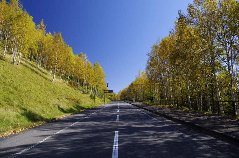 无人,横图,室外,白天,正面,旅游,度假,美景,森林,树林,植物,道路,路,公路,北海道,日本,亚洲,阴影,光线,影子,景观,交通,娱乐,树,树木,蓝色,绿色,蓝天,天空,阳光,自然,天,享受,休闲,景色,放松,生长,成长,自然风光,东亚,日本国,北海道地方,北海道岛,马路,彩图