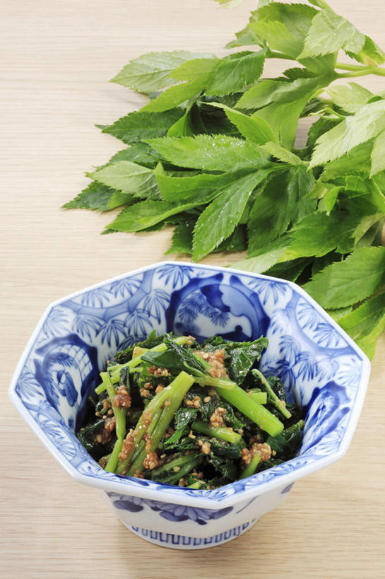 无人,竖图,俯视,室内,特写,白天,烹饪,餐桌,桌面,桌子,蔬菜,一堆,许多,堆叠,堆积,新鲜,芝麻,日本料理,料理,食品,菜肴,美食,食物,日式料理,日式,摄影,佳肴,有机食品,绿色食品,影棚,餐台,堆,脂麻,胡麻,白麻,巨胜子,明日叶,明日草,油麻,八丈草,彩图,高角度拍摄,影棚拍摄,拍摄