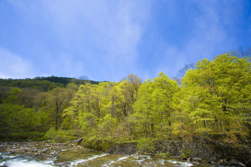 无人,横图,室外,白天,正面,旅游,度假,美景,森林,山,山脉,树林,植物,日本,亚洲,景观,山峰,云,云朵,山峦,云彩,娱乐,树,树木,蓝色,绿色,白云,蓝天,天空,自然,群山,天,享受,休闲,景色,放松,生长,晴朗,成长,自然风光,东亚,本州,本州岛,日本国,青森,青森县,东北地方,十和田市,十和田,晴空,彩图