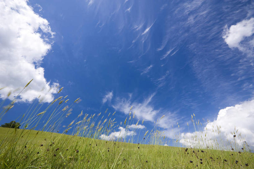 无人,横图,室外,白天,仰视,旅游,度假,草地,草坪,美景,植物,日本,亚洲,地平线,景观,云,云朵,辽阔,地面,云彩,娱乐,草,蓝色,绿色,白云,蓝天,天空,自然,天,享受,休闲,景色,放松,晴朗,一望无际,自然风光,延伸,东亚,本州,本州岛,日本国,天地相交,青森,青森县,东北地方,十和田市,十和田,晴空,彩图,低角度拍摄