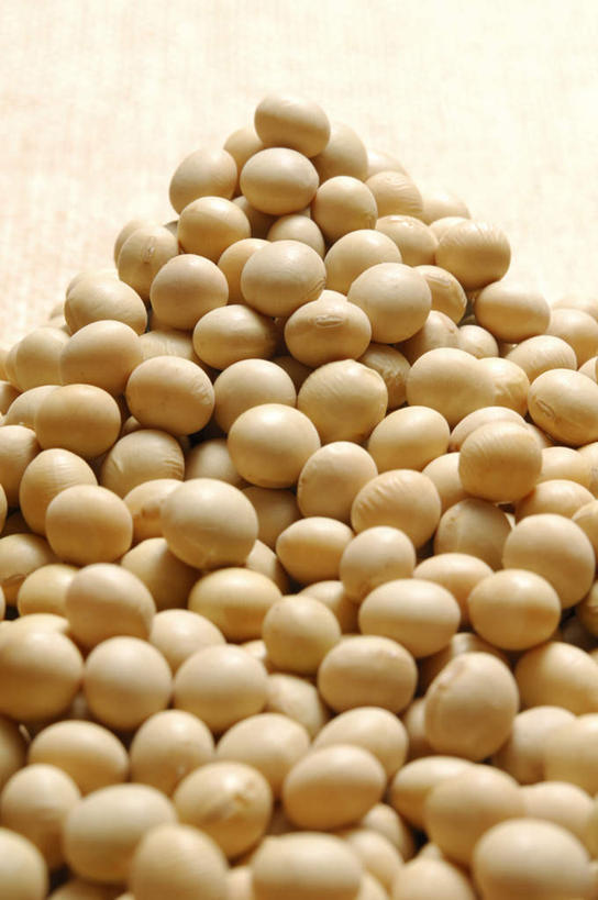无人,竖图,俯视,室内,特写,白天,植物,餐桌,桌面,桌子,豆,大豆,静物,一堆,许多,堆叠,堆积,豆类,豆子,毛豆,黄色,摄影,影棚,餐台,堆,豆科,枝豆,黄豆,彩图,高角度拍摄,影棚拍摄,拍摄