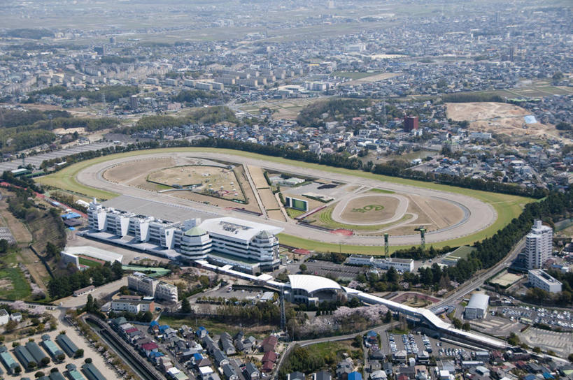 无人,体育馆,家,运动场,横图,俯视,航拍,室外,白天,旅游,度假,草地,草坪,美景,植物,城市风光,城市,建筑,爱知县,名古屋,日本,亚洲,房屋,屋子,景观,公寓,娱乐,建设,体育场,洋房,楼房,住宅,草,树,树木,绿色,自然,享受,休闲,景色,放松,田径场,生长,成长,鸟瞰,东亚,本州,本州岛,日本国,中部地方,爱知,运动馆,县厅,名古屋市,彩图,高角度拍摄,房子