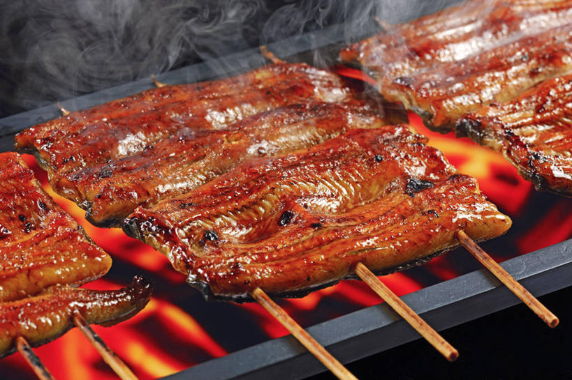 鳗鱼,无人,横图,俯视,室内,特写,白天,烹饪,烧烤,热情,雾,餐桌,桌子,鳗鲡,火,一排,阴影,沸腾,整齐,反射,蒸汽,火焰,影子,烟雾,肉,鱼肉,日本料理,料理,食品,烤架,水蒸气,烤肉,燃烧,菜肴,美食,肉类,竹签,食物,排列,日式料理,日式,铁架,摄影,佳肴,影棚,餐台,康吉鳗,队列,肉食,河鳗,取食签,蒸发,白鳗,青鳝,风馒,白鳝,彩图,高角度拍摄,影棚拍摄,拍摄