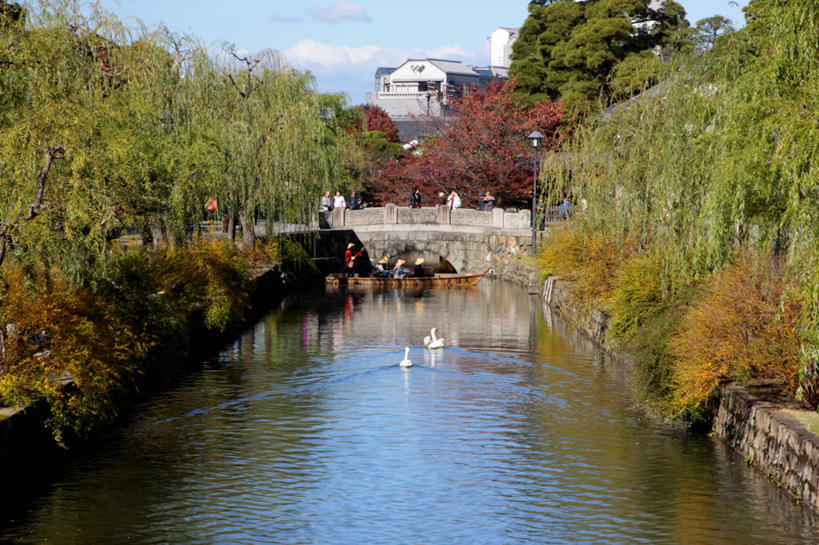 游泳,无人,横图,室外,白天,正面,度假,河流,美景,树林,水,植物,城市风光,城市,鸟,野生动物,天鹅,日本,亚洲,阴影,光线,鸟类,影子,河水,景观,水流,云,云朵,云彩,注视,娱乐,树,树木,蓝色,绿色,白云,蓝天,天空,阳光,自然,动物,天,观察,看,两只,享受,休闲,景色,放松,可爱,生长,晴朗,成长,观看,察看,关注,东亚,本州,本州岛,日本国,中国地方,冈山,冈山县,泅水,仓敷,拍浮,仓敷市,晴空,鹄,彩图,全身