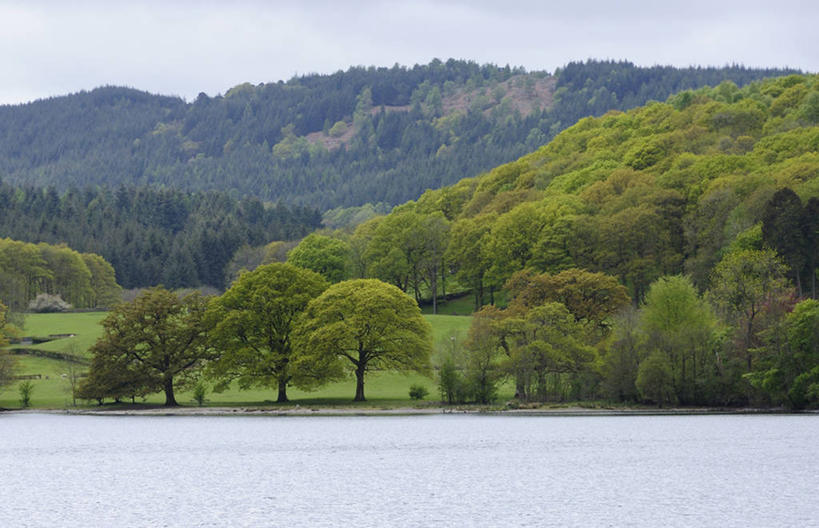 无人,横图,室外,白天,正面,旅游,度假,草地,草坪,美景,森林,山,山脉,树林,植物,英国,欧洲,景观,山峰,山峦,娱乐,英格兰,草,树,树木,蓝色,绿色,蓝天,天空,自然,群山,天,享受,休闲,景色,放松,生长,晴朗,成长,西欧,自然风光,大不列颠,大不列颠及北爱尔兰联合王国,万里无云,英吉利,坎布里亚,坎布里亚郡,温德米尔湖,晴空,晴空万里,彩图,行政区,大不列颠王国,大英帝国,联合王国,日不落帝国,西北英格兰